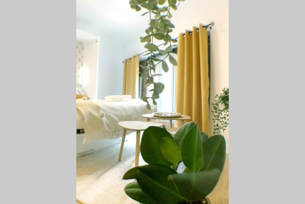 טולוז Le Floral - Hypercentre Capitole # Parking Prive # Queen Size מראה חיצוני תמונה